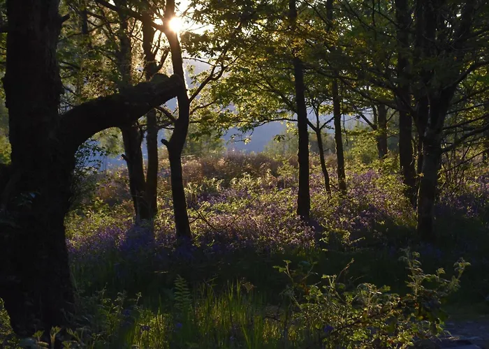 Rowardennan Youth Hostel
